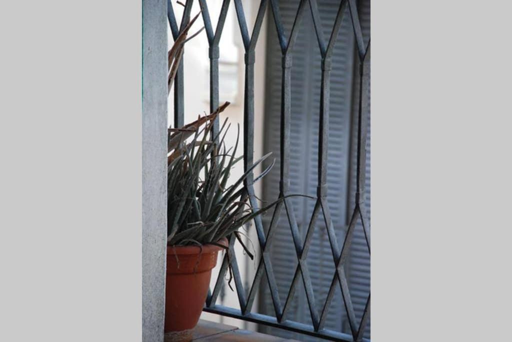 דירות סביליה Apartamento Centro Encarnacion 2º I מראה חיצוני תמונה